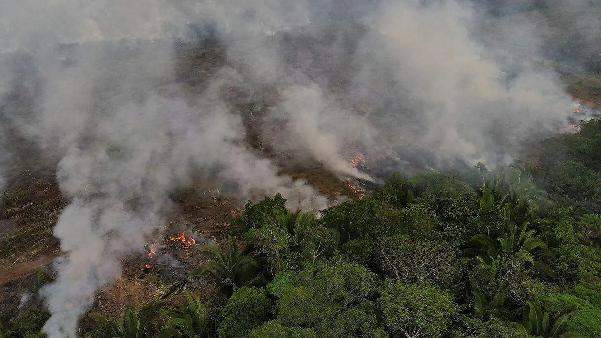 Amazonía de Brasil registra en agosto el mayor número de incendios en más de una década